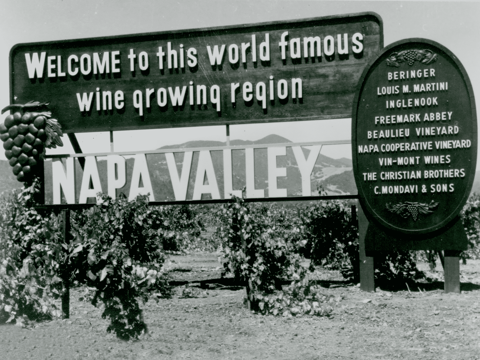 Napa Valley Vintners A Walk Around Tasting 67 Pall Mall   Napa Valley NOvember 1st 